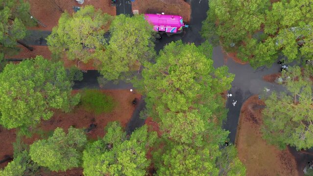 A drone flies over the crowns of trees in an autumn park with paths for walking and a food truck for a delicious snack to go. Food on the go in the park and on the street. Top view of city life.