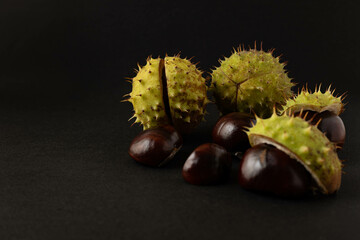 Chestnuts on a dark background. Chestnut fruits.