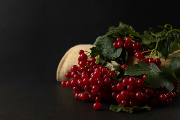 Background with viburnum. Autumn background, viburnum berries on a dark background.