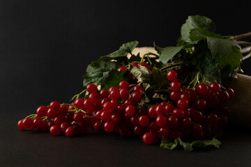 Background with red berries. Viburnum berries on a black background.