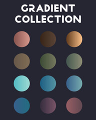 Collection of branded color combinations. Gradient. Vector