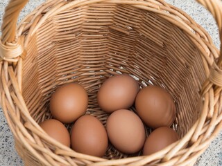 Chicken eggs just collected from the laying nest in the chicken coop, close up