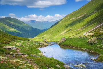 Fototapeta na wymiar Pure river in mountain valley.