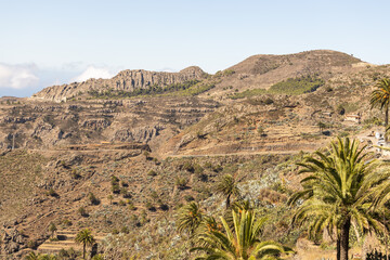 Scenic view in Garajonay National Park, La Gomera.