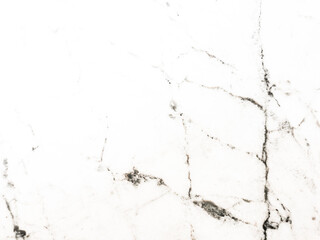 background of shapes and curves in pastel colors