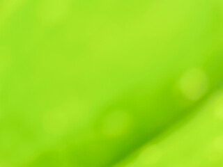 blurry green background can be used for many tasks