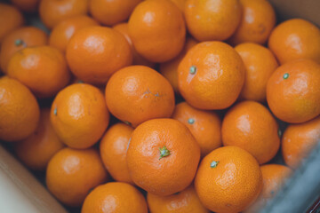 箱いっぱいに日本の温州みかん 薄皮が薄くジューシーで美味しい和歌山産