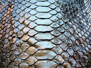 The texture of natural python skin, silver snakes. Mirror gray leather background, metallic. Gray...