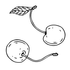 Linear botanical sketch of cherry berries with leaves. Vector graphics.