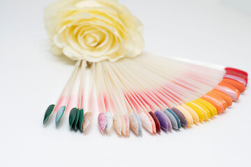 Multi-colored palette of varnishes for female nail design