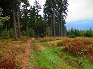 czech autumn season landscape in nature