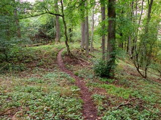 czech autumn season landscape in nature