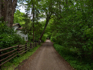 Fototapeta premium Country road