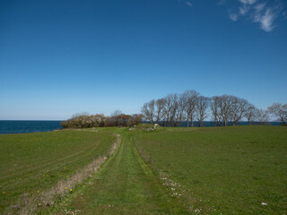 green field og clear blue sky