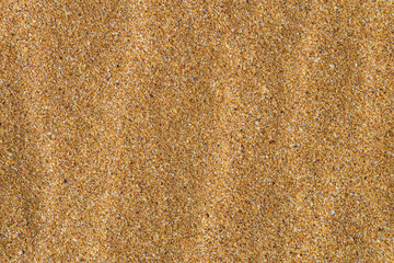 Coarse sea sand. Small fragments and debris sea shells. Natural coarse sand texture.