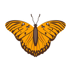 A beautiful flat illustration of cabbage white 