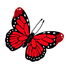 A beautiful flat illustration of cabbage white 