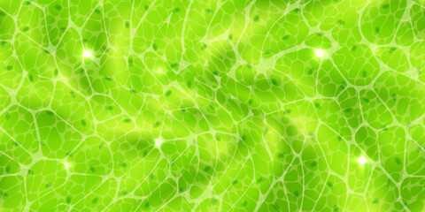 Abstract green seamless pattern or plant cells with nuclears texture under a microscope. Leaf tissue layer vector macro illustration. Microbiology background. Scientific structure. - obrazy, fototapety, plakaty