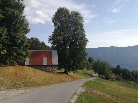 Road in the countryside