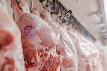 close-up of meat processing in the food industry, a worker measures the temperature of meat, the...