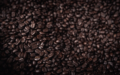 Close up of Freshly Roasted Coffee Beans