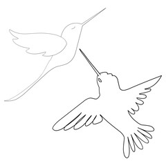 Fototapeta premium hummingbirds illustration. Hand-drawn doodles illustration. Line art. Icon
