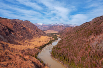 Aerial top view Beautiful landscape with river and autumn forest with snow peaks mountains Chuysky tract, Altai Kurai steppe Russia