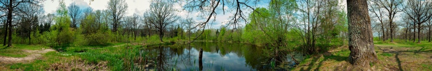 Fototapeta na wymiar Panorama of forest lakes in spring, young leaves and freshly blossomed buds of trees and shrubs