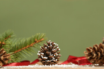Festive natural, zero waste, plastic free, Christmas decoration. DIY winter holidays home decor made of fir branches, pine cones and red berries.	