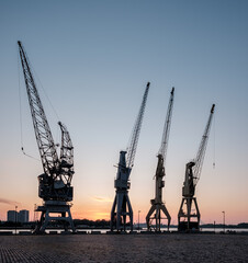 Fototapeta na wymiar Night sky with old harbor cranes in Antwerp