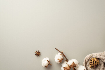 Winter mood concept. Top view photo of cozy plaid anise pine cone and cotton branch on isolated pastel grey background with copyspace