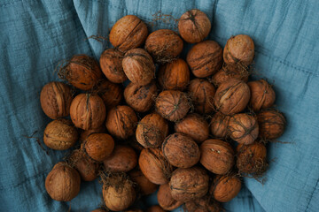 Harvest of walnuts on a blue background, top view