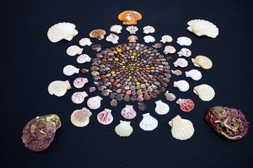 Seashell mandala..Temporary relaxing creation with shells collected on Ansedonia beach