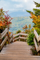 Blue Ridge Parkway in autumn - obrazy, fototapety, plakaty