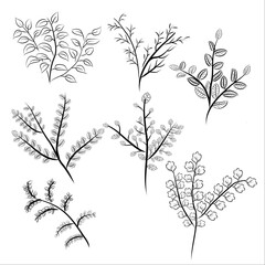 set of tree twigs vector illustration