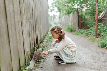 Small cute girl with hedgehog on the road. © Kolomiiets Viktoriia