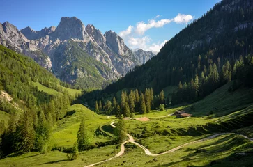 Gordijnen beautiful scenery at Bindalm, Berchtesgaden national park, Germany © Chris Peters