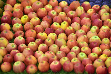 Sample with apples