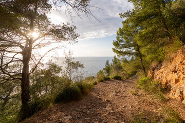 Pictures from the evening walk on the coast of Mallorca with a magnificent view over the Mediterranean Sea in the evening sun.