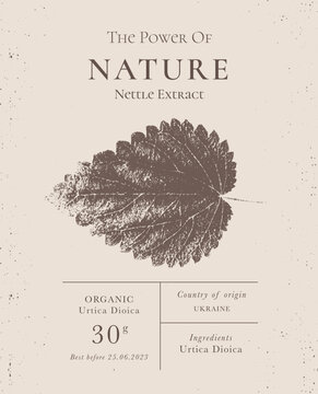 Elegant Label for Natural organic herbal products. Vintage packaging design collection for Cosmetics, Pharmacy, healthy food. Dried leaves, real herbarium