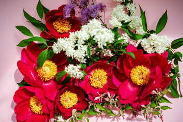 peoines on the pink background