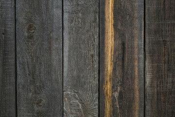 Wooden texture with vertical lines. The texture of wood with knots and holes. The background of a wooden fence damaged by time. The texture of a tree with moss.