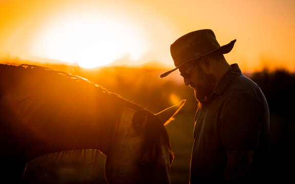 A Horse and His Rider at Sunset