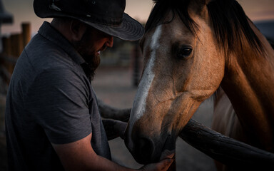 Veteran Cowboy Comforts Horse