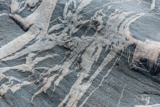 dark and light grey migmatite rock sanded down by the sea.