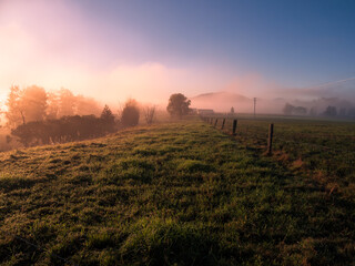 Misty Morning Rural Scene