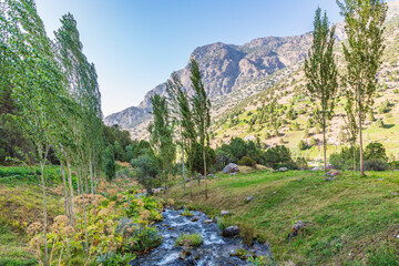 Fototapeta na wymiar Artuch, Sughd Province, Tajikistan. A small creek in the mountains of Tajikistan.