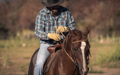 Veteran Cowboy Riding Horse in Colorado