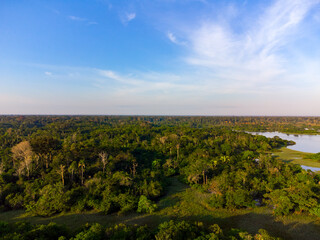 Aerial view of Igap&oacute;, the Amazon rainforest in Brazil, an incredible green landscape with lots of water and untouched nature
