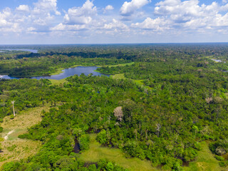 Fototapeta na wymiar Aerial view of Igapó, the Amazon rainforest in Brazil, an incredible green landscape with lots of water and untouched nature